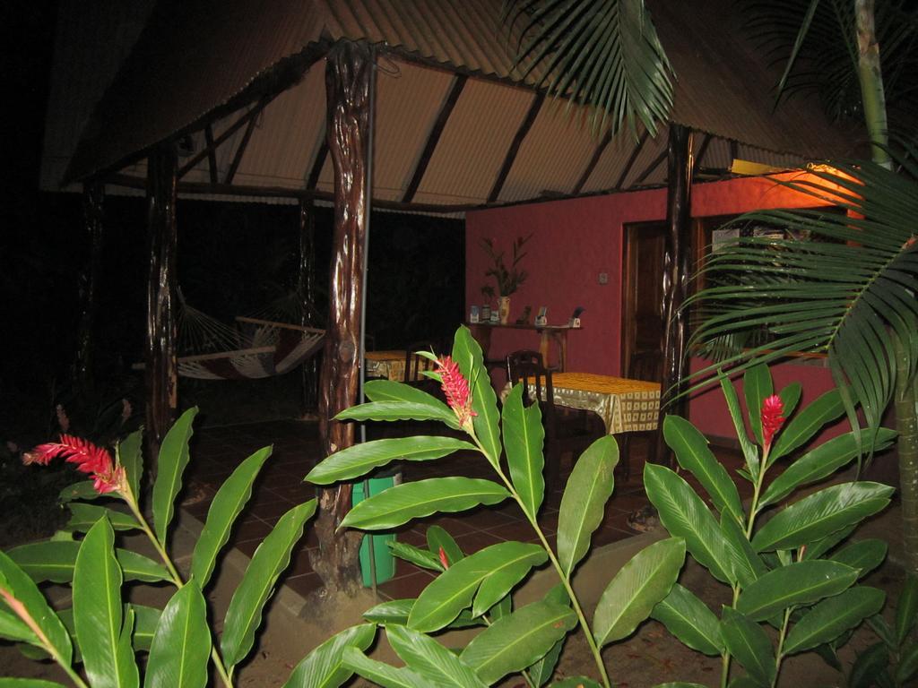 Hotel El Paraiso Escondido - Costa Rica Jacó Eksteriør bilde