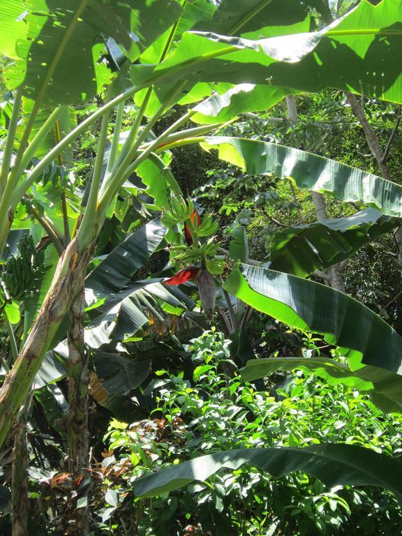 Hotel El Paraiso Escondido - Costa Rica Jacó Eksteriør bilde