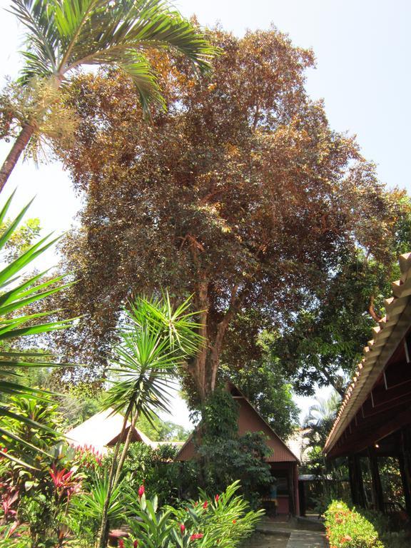 Hotel El Paraiso Escondido - Costa Rica Jacó Rom bilde