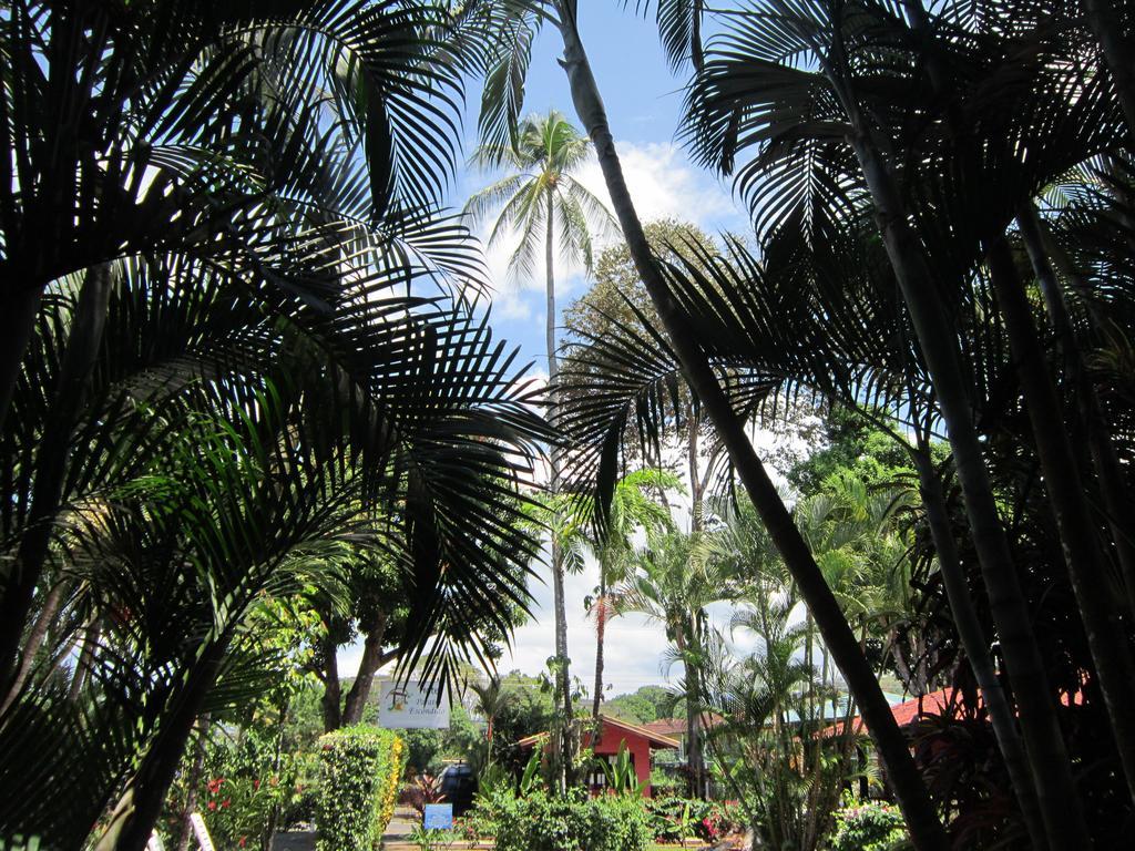 Hotel El Paraiso Escondido - Costa Rica Jacó Eksteriør bilde