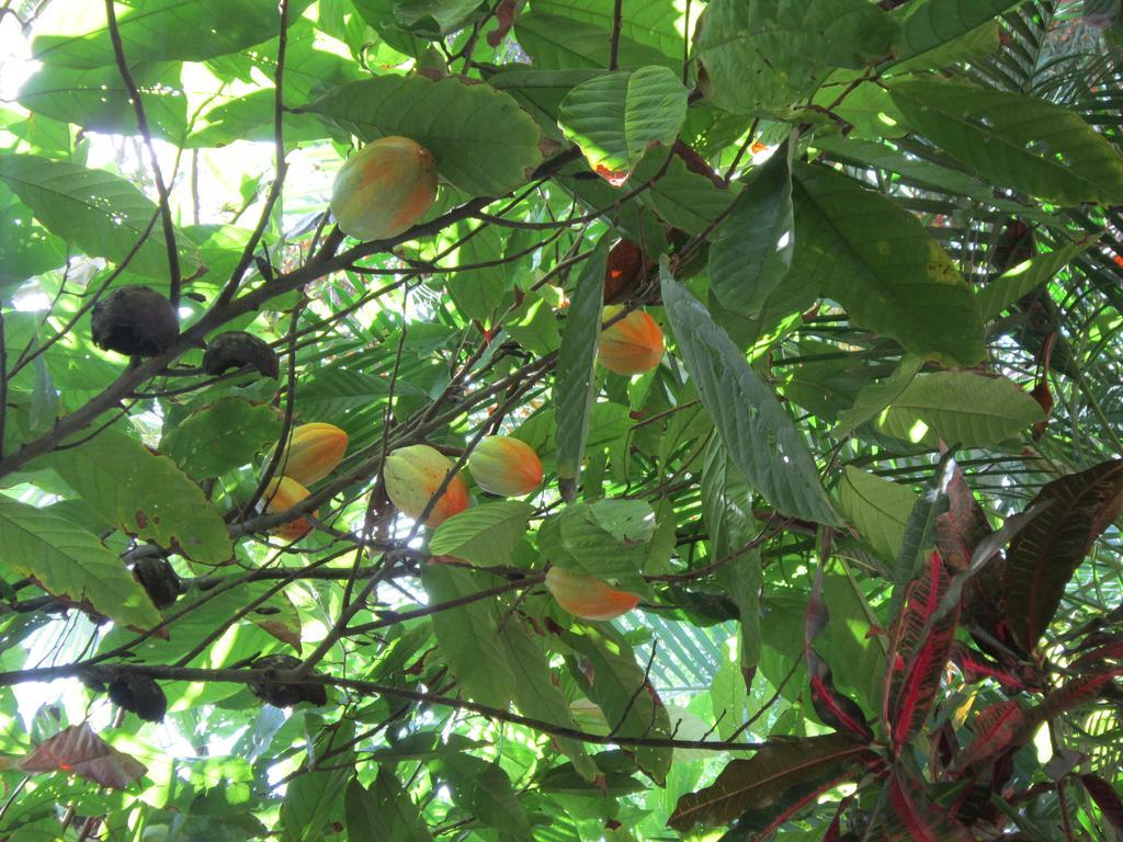 Hotel El Paraiso Escondido - Costa Rica Jacó Eksteriør bilde