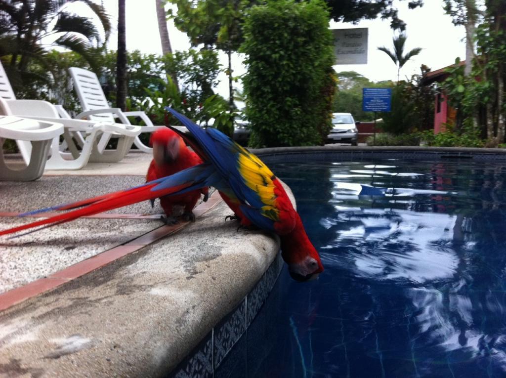Hotel El Paraiso Escondido - Costa Rica Jacó Eksteriør bilde