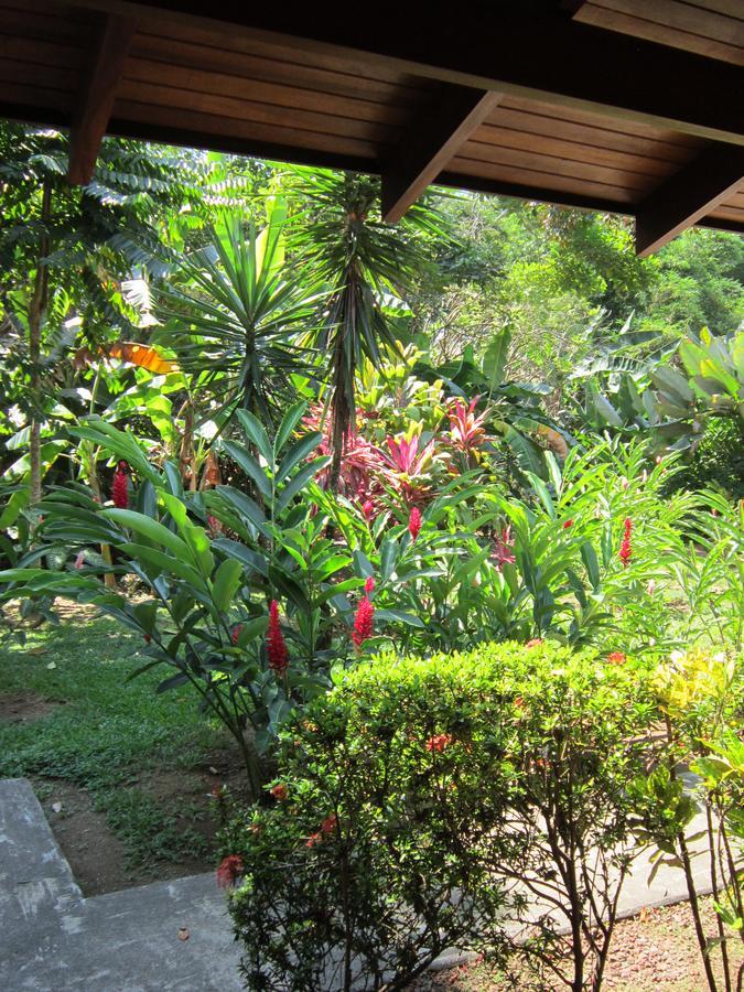 Hotel El Paraiso Escondido - Costa Rica Jacó Eksteriør bilde