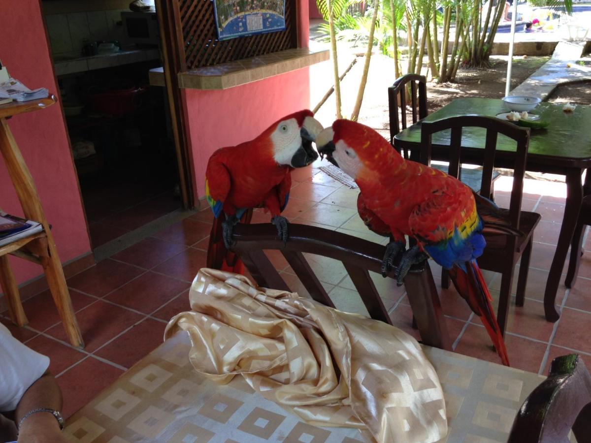 Hotel El Paraiso Escondido - Costa Rica Jacó Eksteriør bilde
